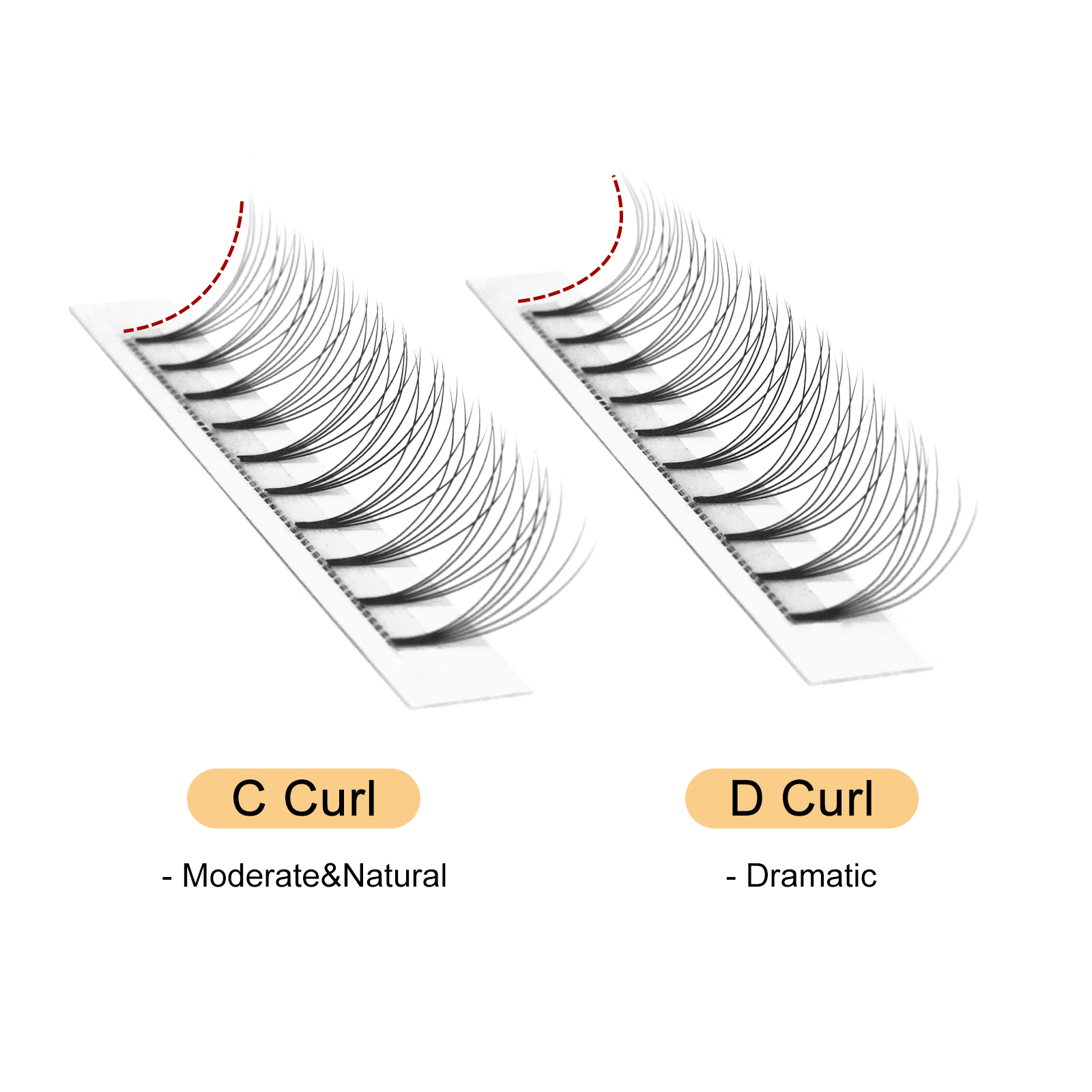 Quewel Premade Fans Lashes 8D/ - Lash Tray Organizer ulasan dan harga